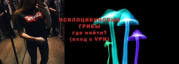 гидропоника Богородицк